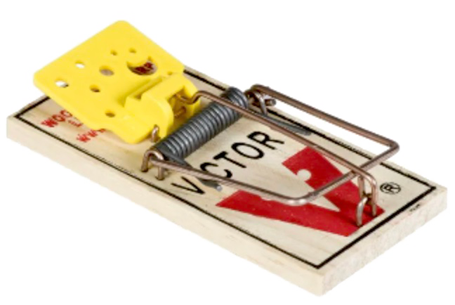 mouse trap